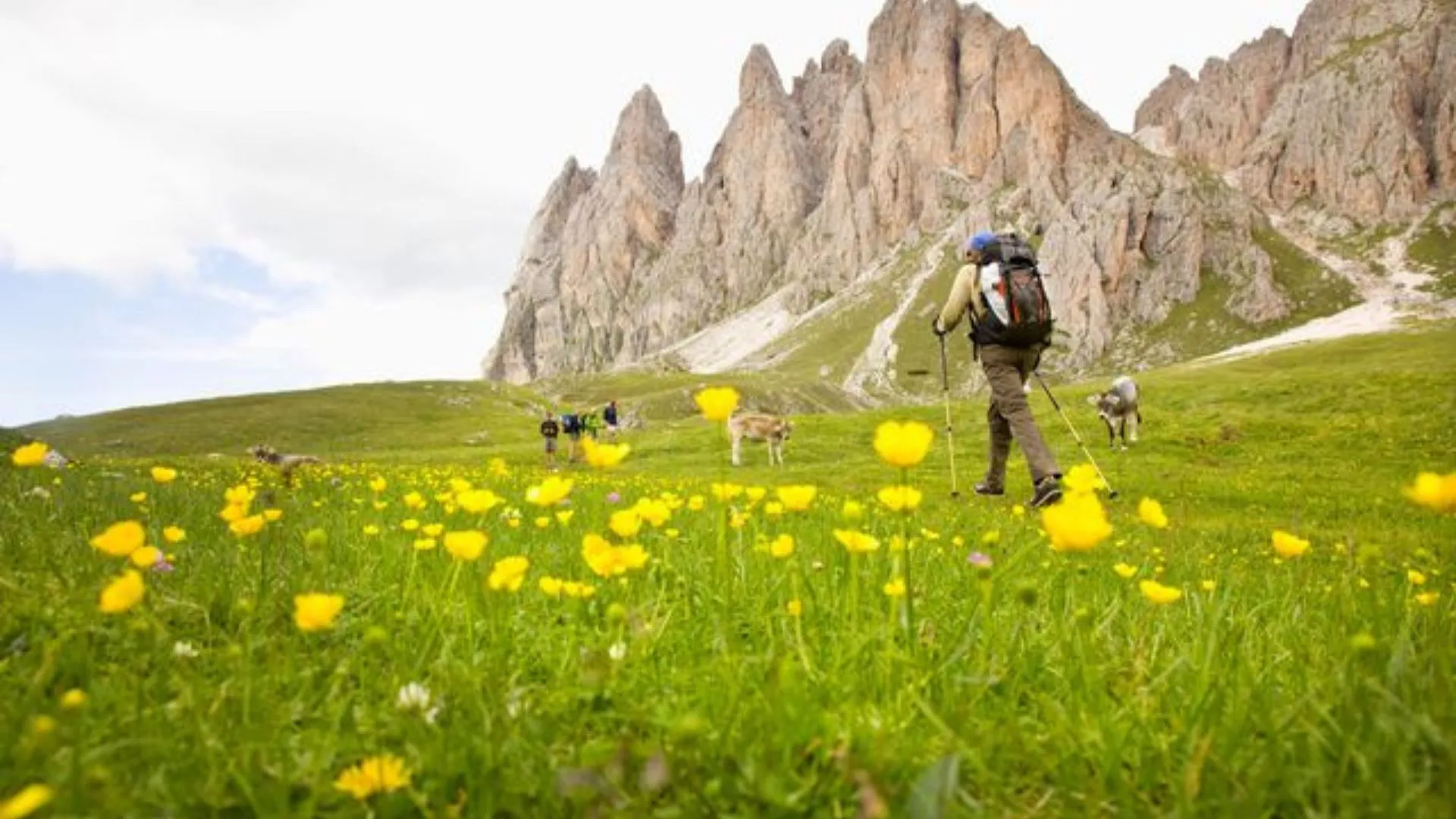 Trekking Trails Across the World – From Easy Hikes to Epic Climbs